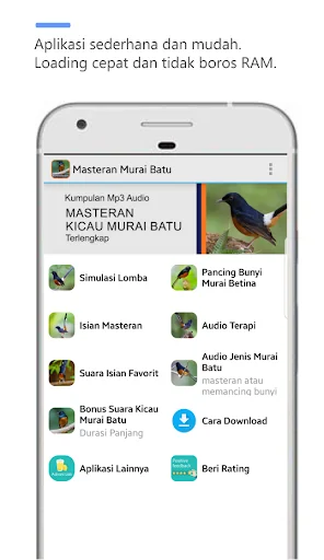 Masteran Murai Batu full isian