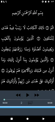 Khalid Al jalil offline Quran screenshot 3