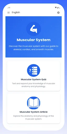 Muscular System