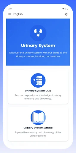 Urinary System