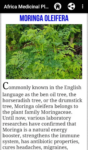 Africa Medicinal Plants screenshot 3