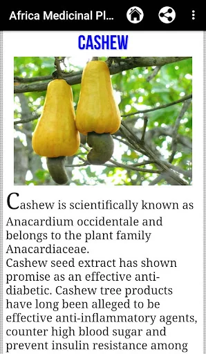 Africa Medicinal Plants screenshot 4
