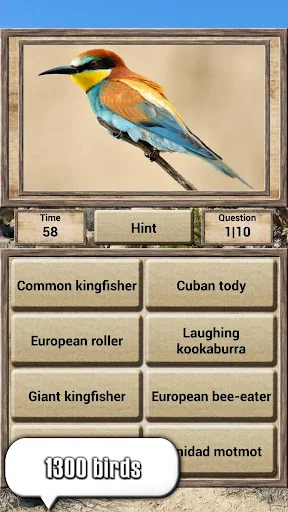 Animal Kingdom - Quiz Game screenshot 3