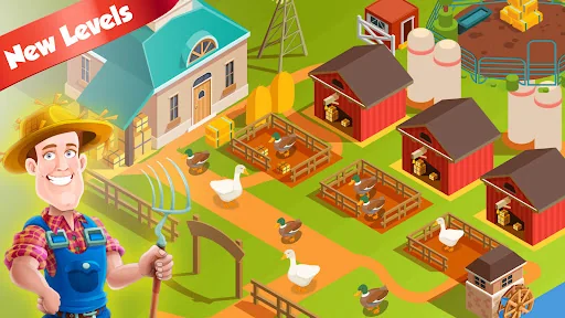 Duck Farm Eggs Chicken Poultry