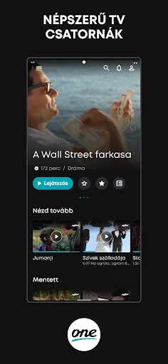 Földfelszíni TV screenshot 1
