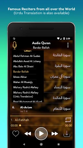 Audio Quran Mp3 Offline/Online screenshot 3
