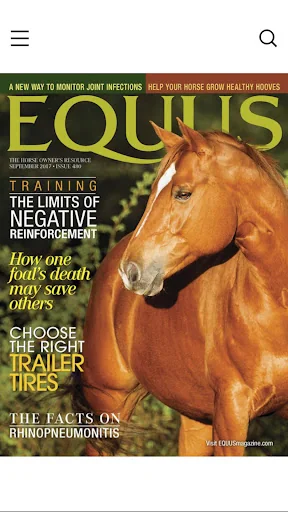 Equus