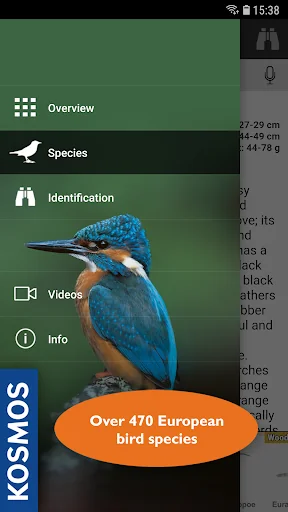 Birds of Europe