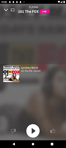 101 The FOX screenshot 2