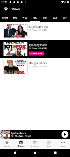 101 The FOX screenshot 3