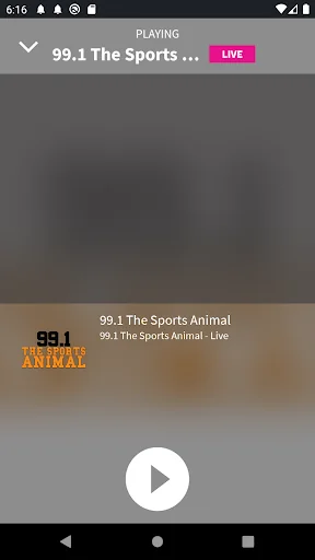 99.1 The Sports Animal screenshot 2
