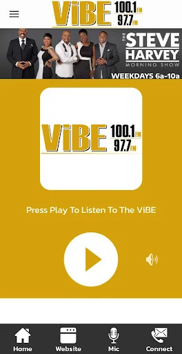 The ViBE