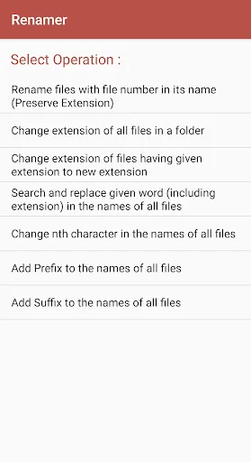 Renamer : Bulk rename and alot
