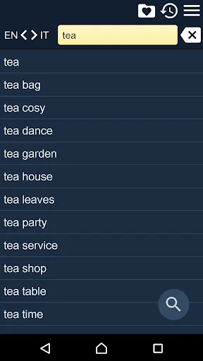 English Italian Dictionary screenshot 1