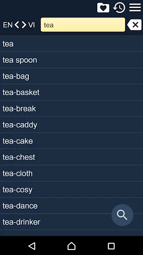 English Vietnamese Dict screenshot 1