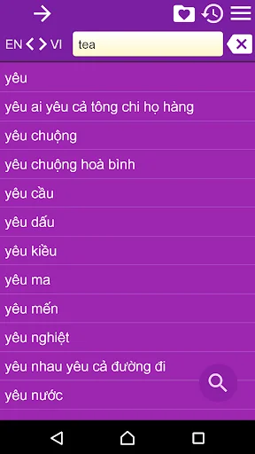 English Vietnamese Dict screenshot 4