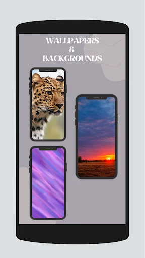 Full Screen HD Wallpaper