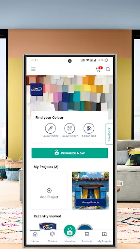 Dulux Visualizer ME