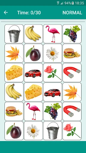 Brain game. Picture Match.