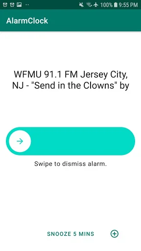 Radio Alarm Clock screenshot 2