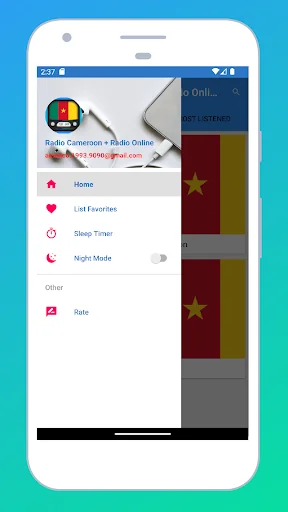 Radio Cameroon + Radio Online