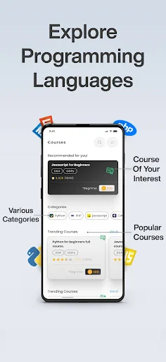 Codynn - Learn, Code & Compete