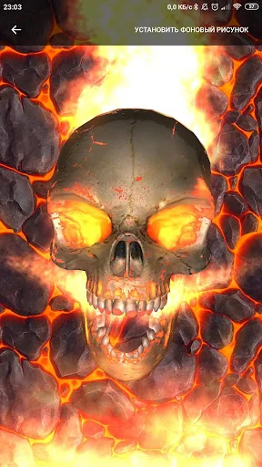 Skull wallpaper