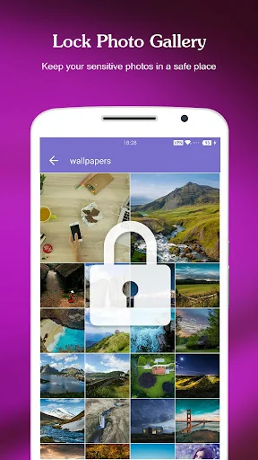 AppLock - Seagulls screenshot 4