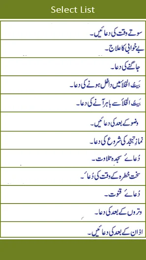 Masnoon Dua (100+)