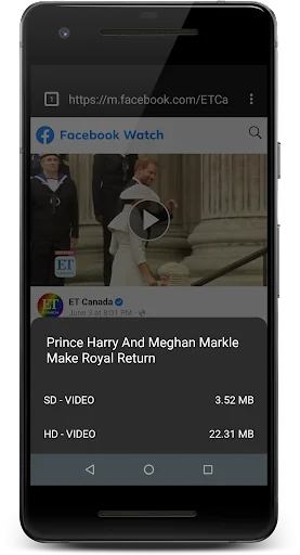 Amazing Videoz Downloader screenshot 4