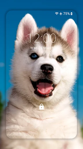 Husky dog Wallpaper HD Themes screenshot 1