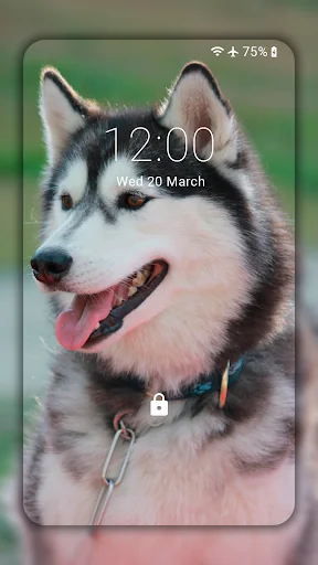Husky dog Wallpaper HD Themes screenshot 3