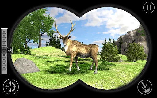 Real Jungle Animals Hunting