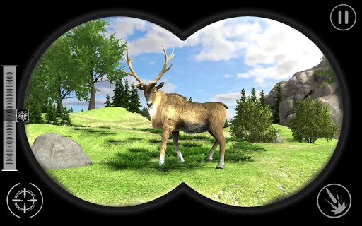Real Jungle Animals Hunting