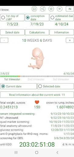 Pregnancy Calculator+Calendar