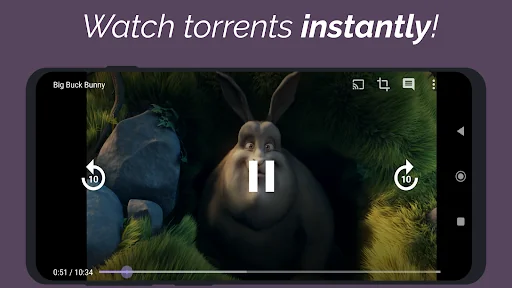 Amnis - Torrent Player