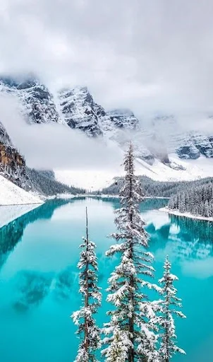 Snow Wallpapers