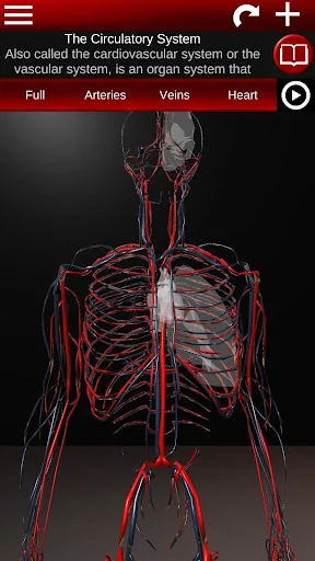 Circulatory System 3D Anatomy screenshot 1