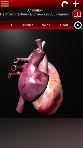 Circulatory System 3D Anatomy screenshot 2