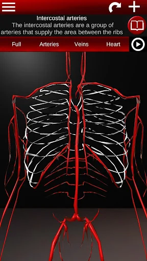 Circulatory System 3D Anatomy screenshot 3