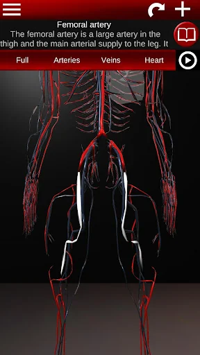 Circulatory System 3D Anatomy screenshot 4