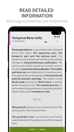 Anatomyka Skeleton screenshot 4