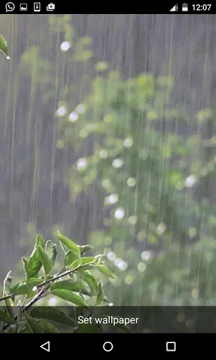 Rain Live Wallpapers