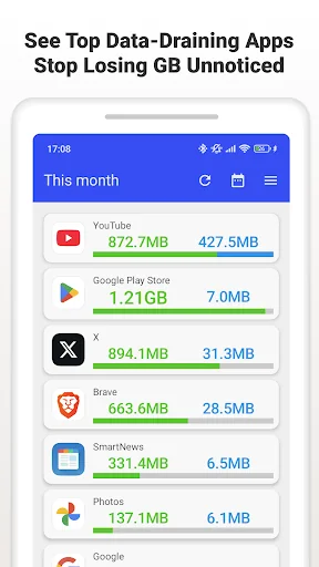 Data Usage Monitor screenshot 2