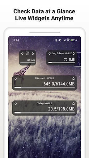 Data Usage Monitor screenshot 3