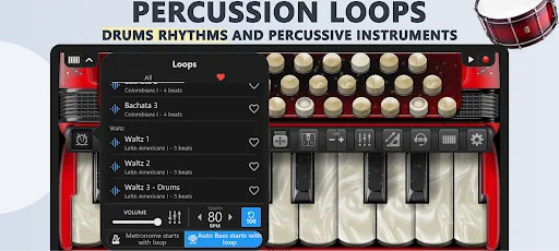 Accordion Piano Cassoto Game screenshot 3