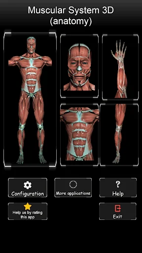 Muscular System 3D (anatomy) screenshot 1