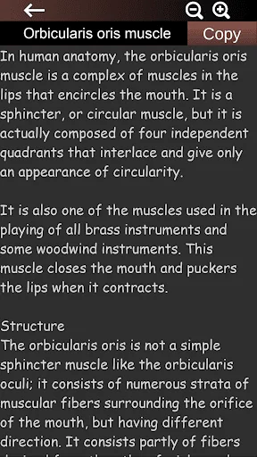 Muscular System 3D (anatomy) screenshot 4