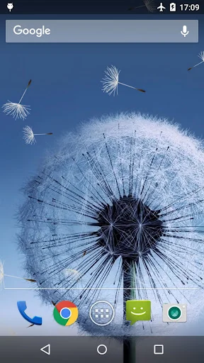 Dandelion Live Wallpaper screenshot 1