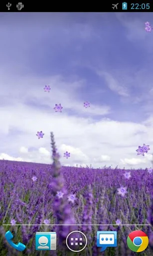 Lavender Live Wallpaper screenshot 2